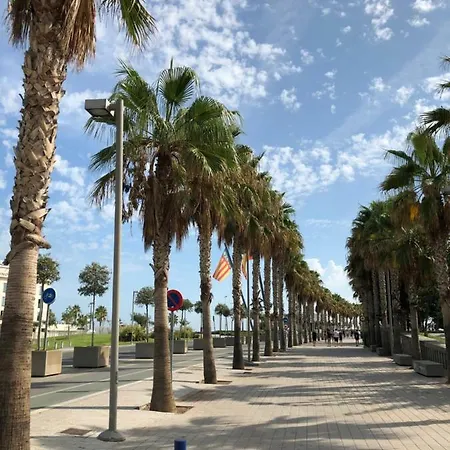Sun Valencia