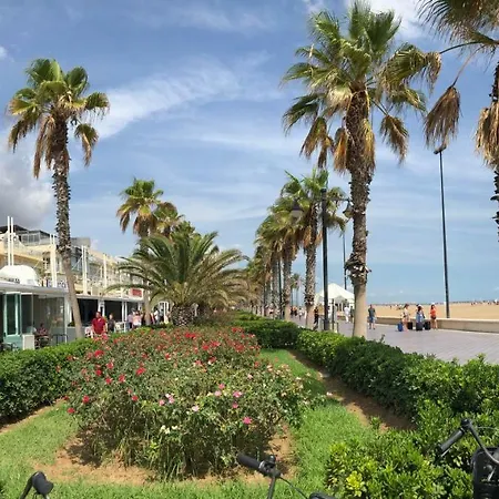 Sun Valencia